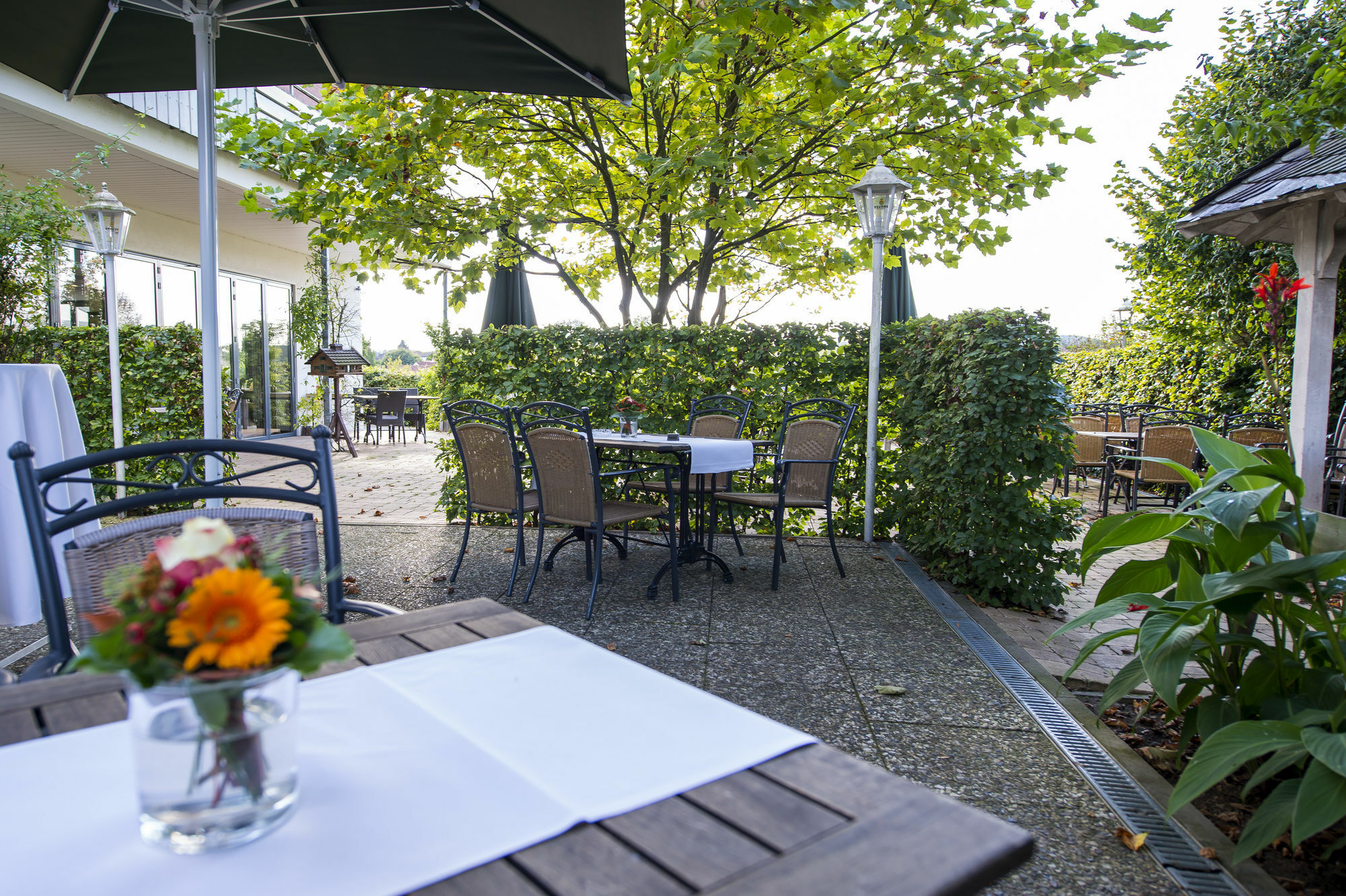 Landidyll Hotel Zum Freden Bad Iburg Exterior photo